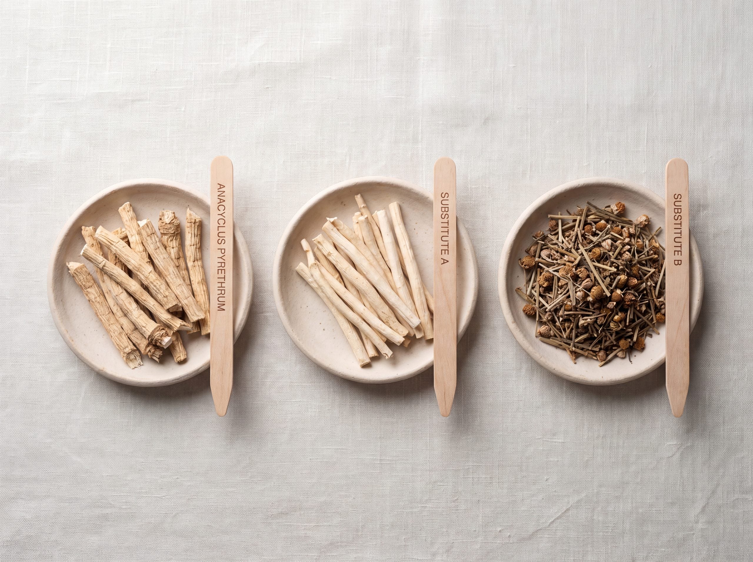 Side by side comparison of genuine Anacyclus pyrethrum root beside two common Akarkara substitutes