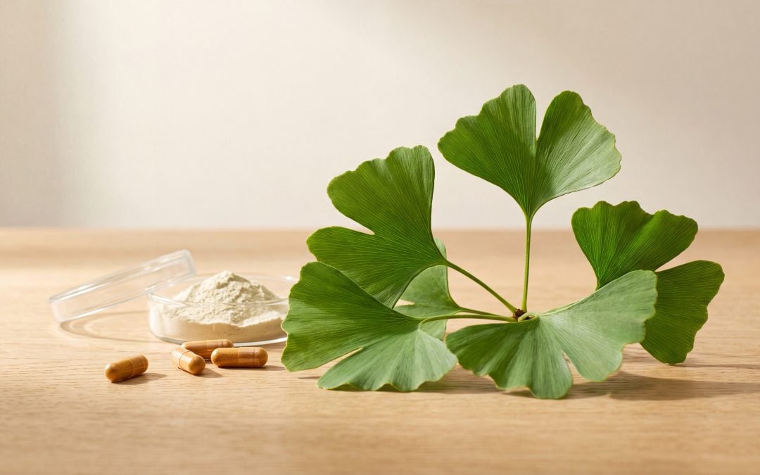 Ginkgo Biloba for Memory and Brain Health: What the Science Says