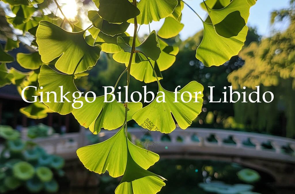 Ginkgo Biloba for Sexual Health: Benefits, Risks, and Research