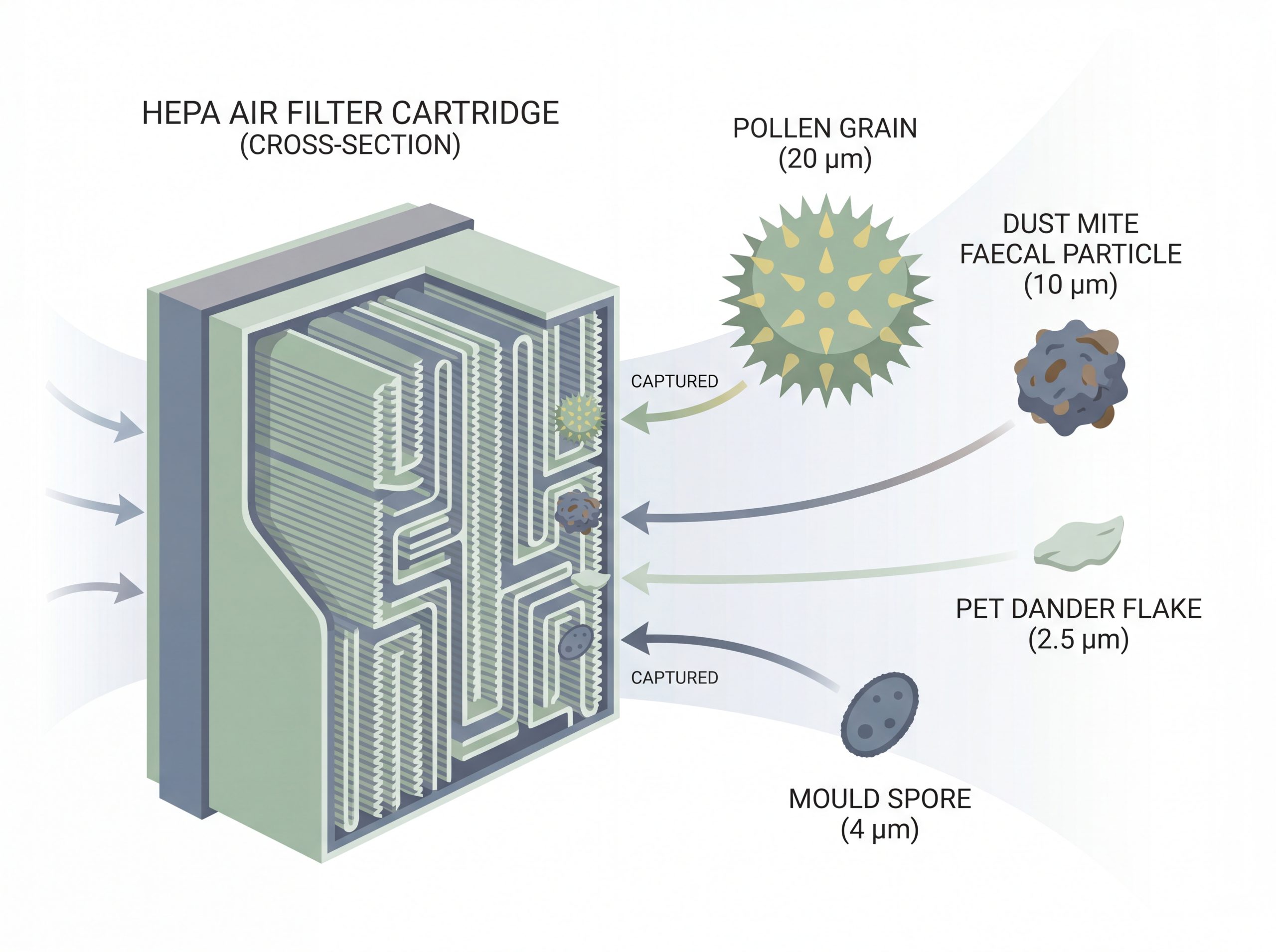 Infographic showing how HEPA filtration removes pollen, dust mites, pet dander, and mould spores from indoor air