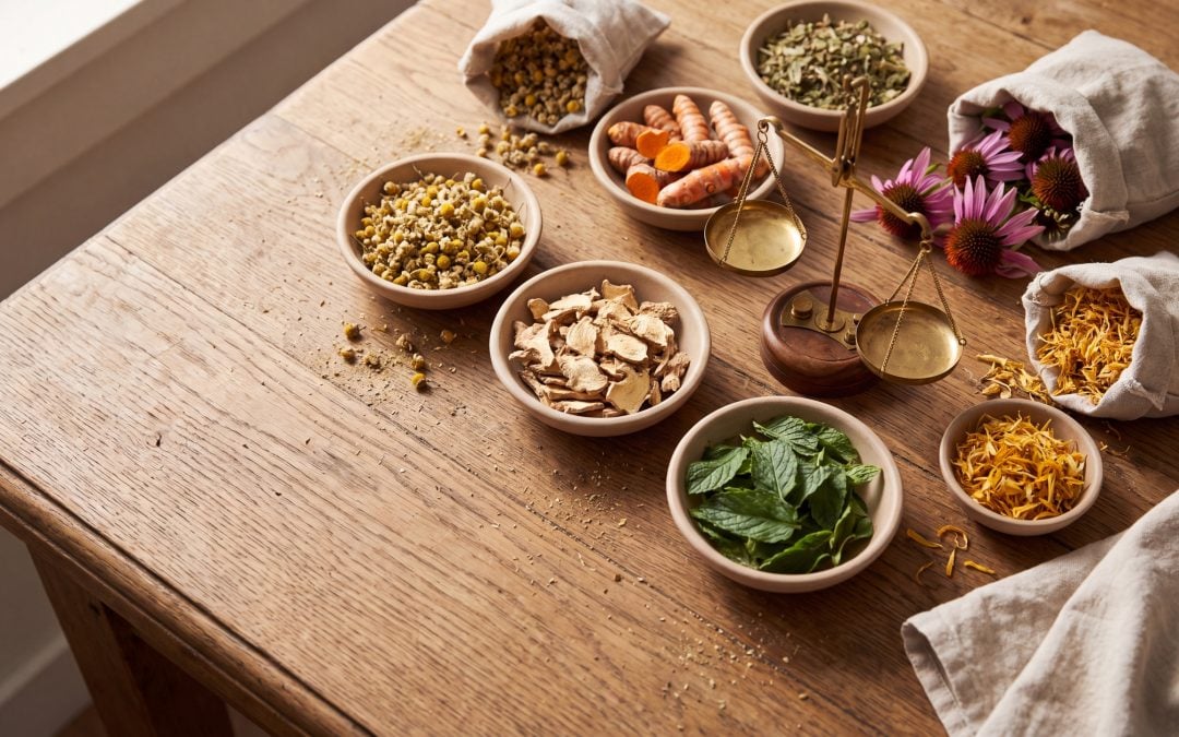 A Beginner’s Guide to Plant-Based Remedies