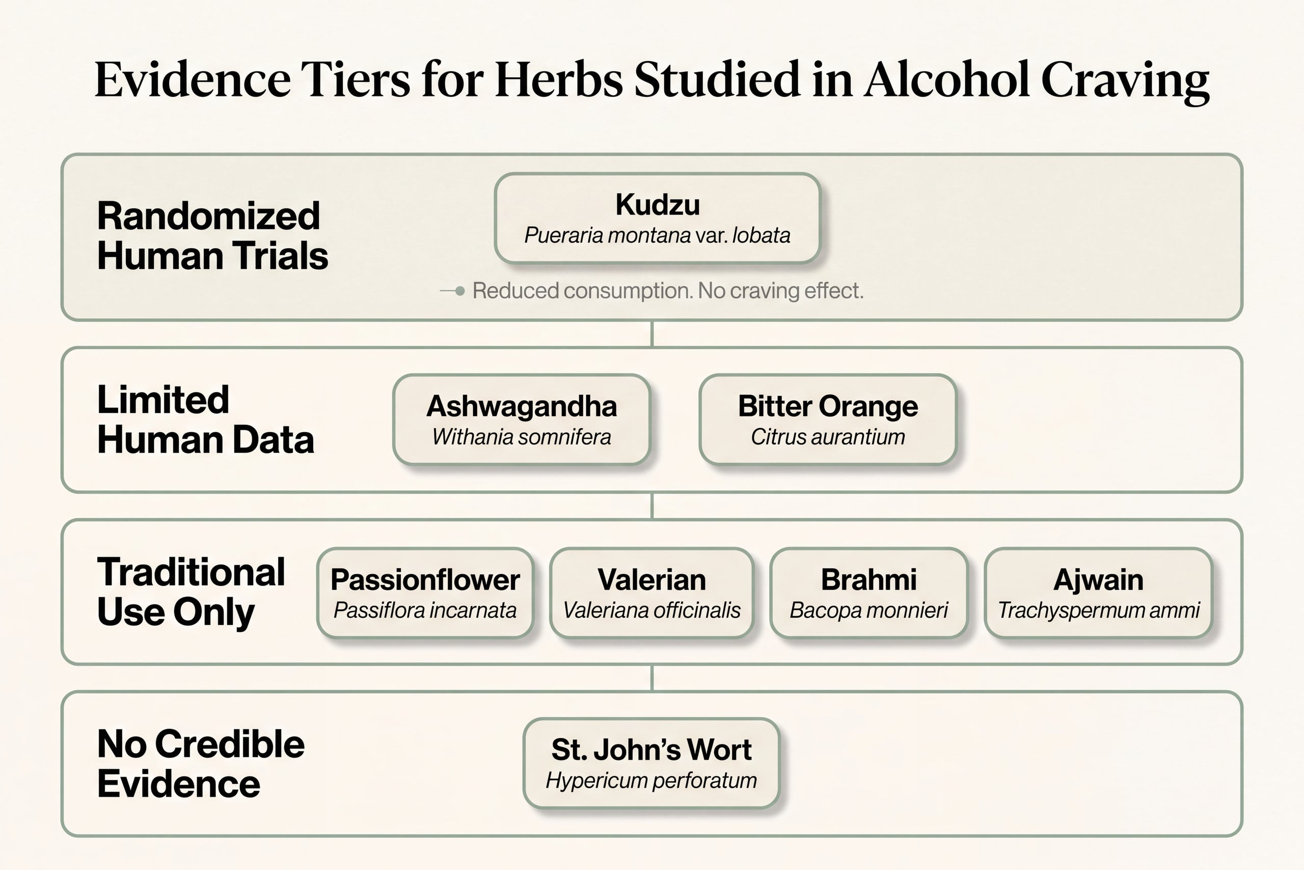 Infographic ranking herbs for alcohol cravings by evidence tier, from randomized trials to no evidence