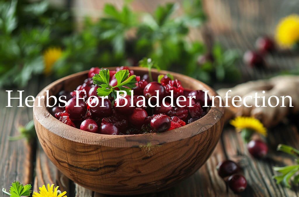 Natural Herbal Remedies for Bladder Infections: A Comprehensive Guide