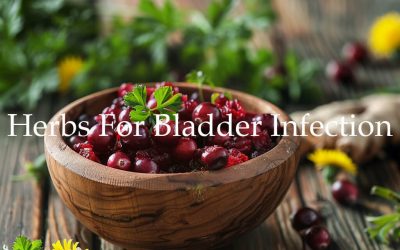 Natural Herbal Remedies for Bladder Infections: A Comprehensive Guide