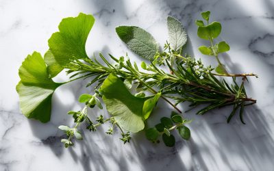 Learn A Guide to Natural Cognitive Enhancement