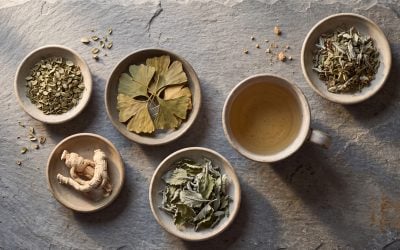 Learn A Guide to Natural Cognitive Enhancement