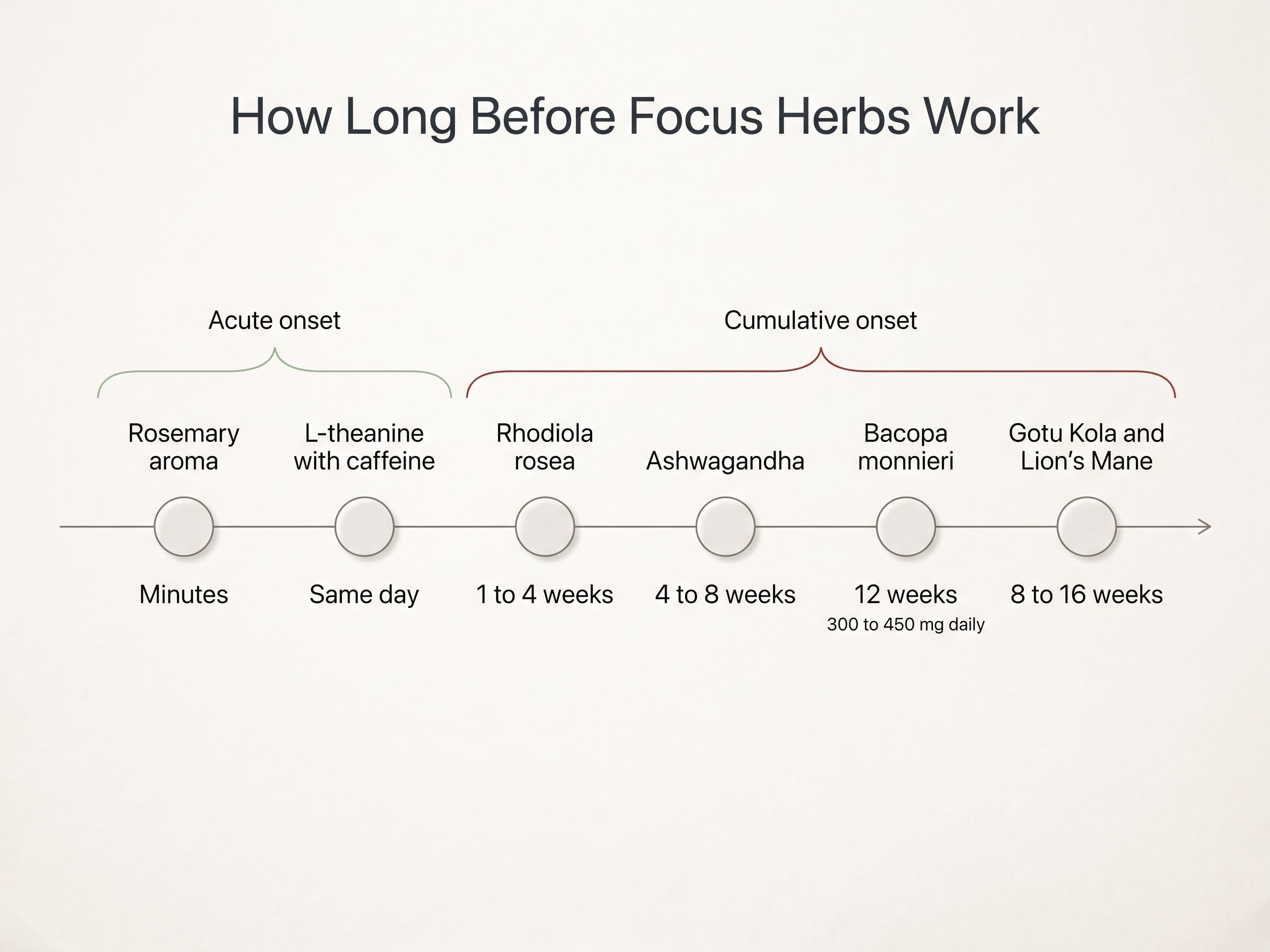 Timeline separating acute-onset botanicals like rosemary from cumulative ones like Bacopa monnieri at 12 weeks