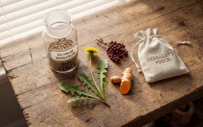 Natural Liver Support: Effective Herbs and Holistic Strategies