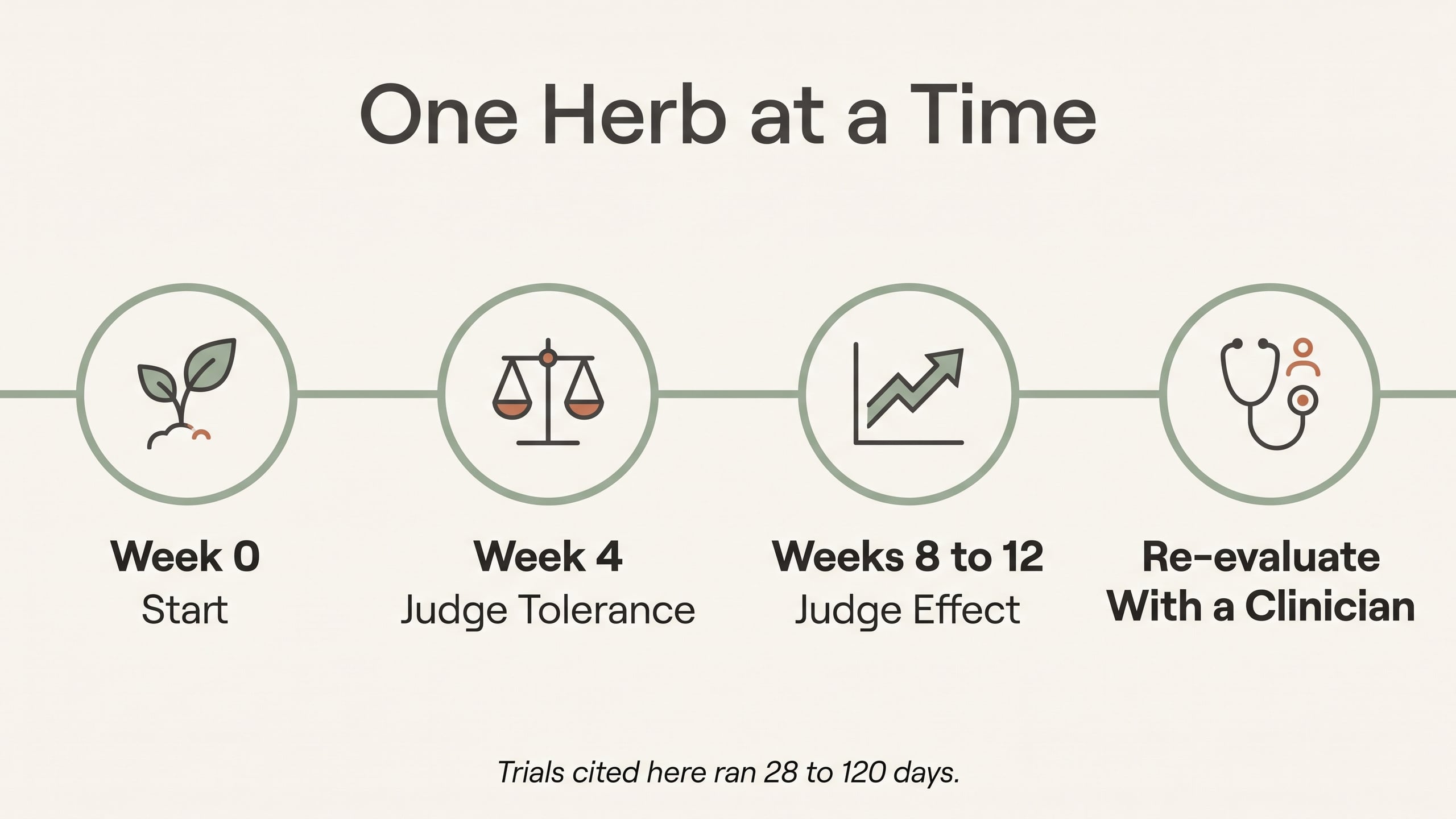 Timeline showing a four-week tolerance check and an eight to twelve week window to judge effect