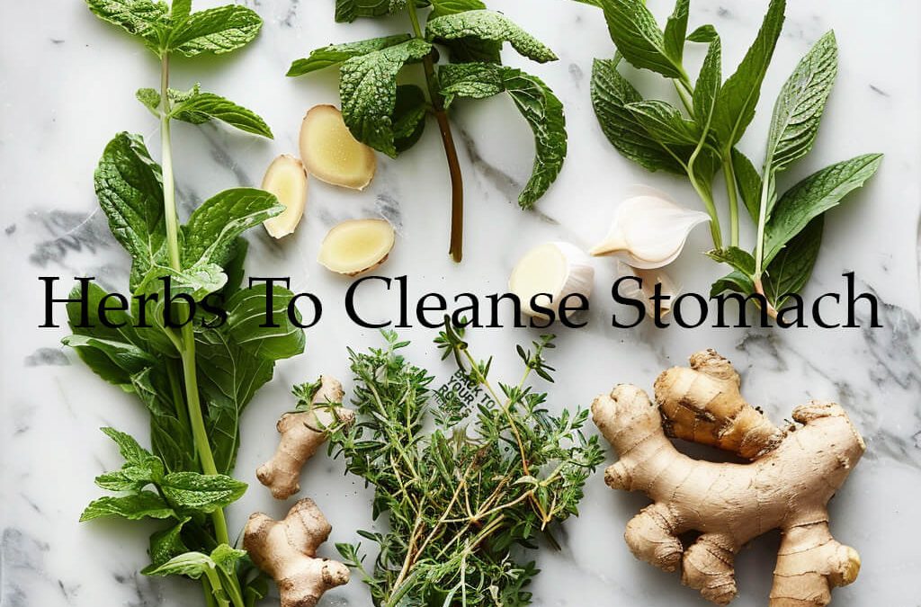 Herbal Cleansing for Stomach Health: A Comprehensive Guide