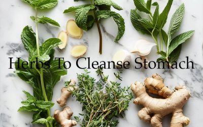 Herbal Cleansing for Stomach Health: A Comprehensive Guide