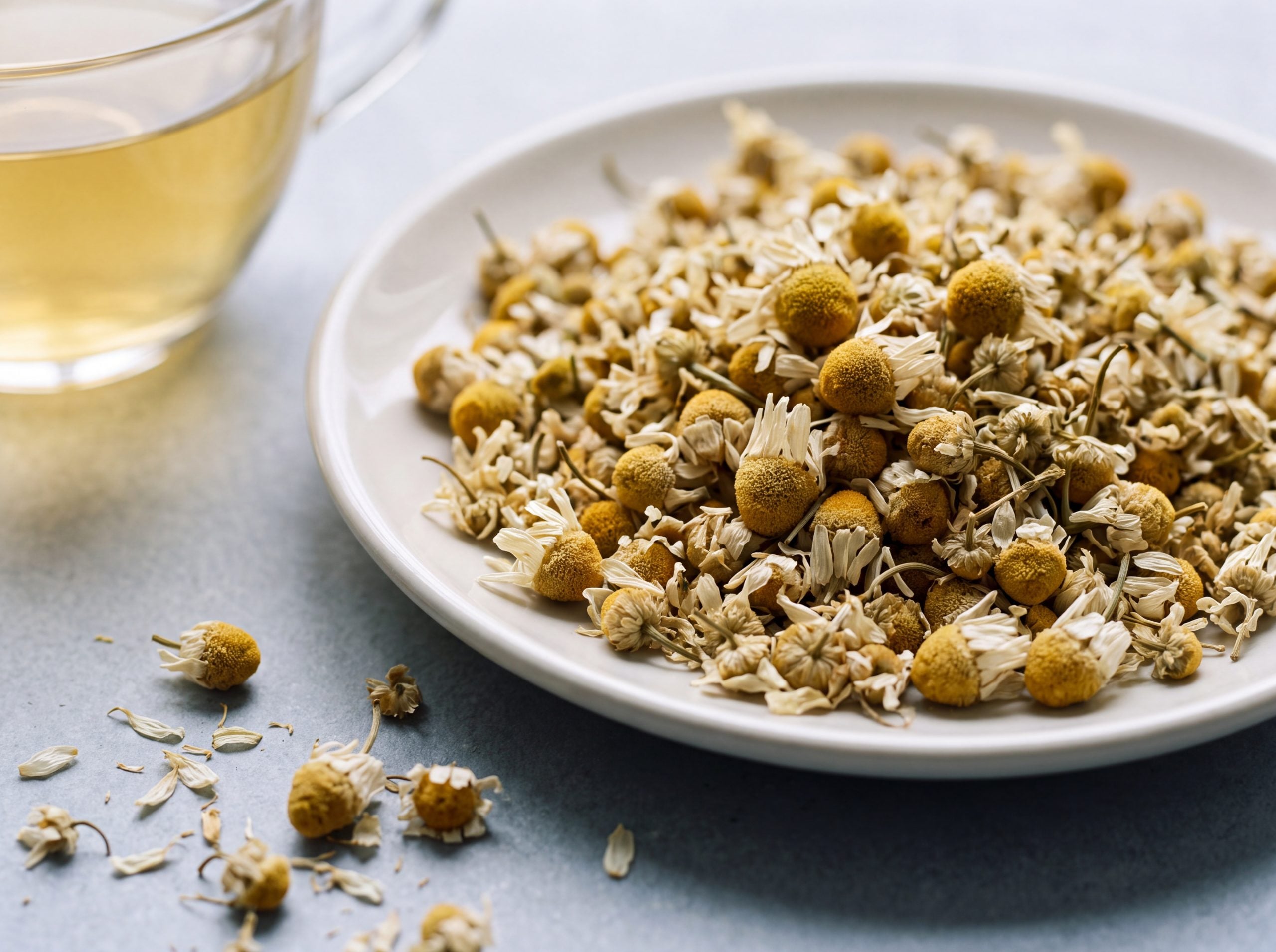 Dried Matricaria chamomilla flower heads on a pale ceramic plate beside a cup of infusion