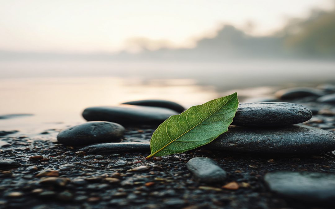 A Practical Guide to Whole-Person Wellness