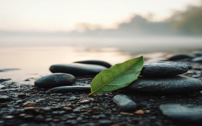Learn A Practical Guide to Whole-Person Wellness