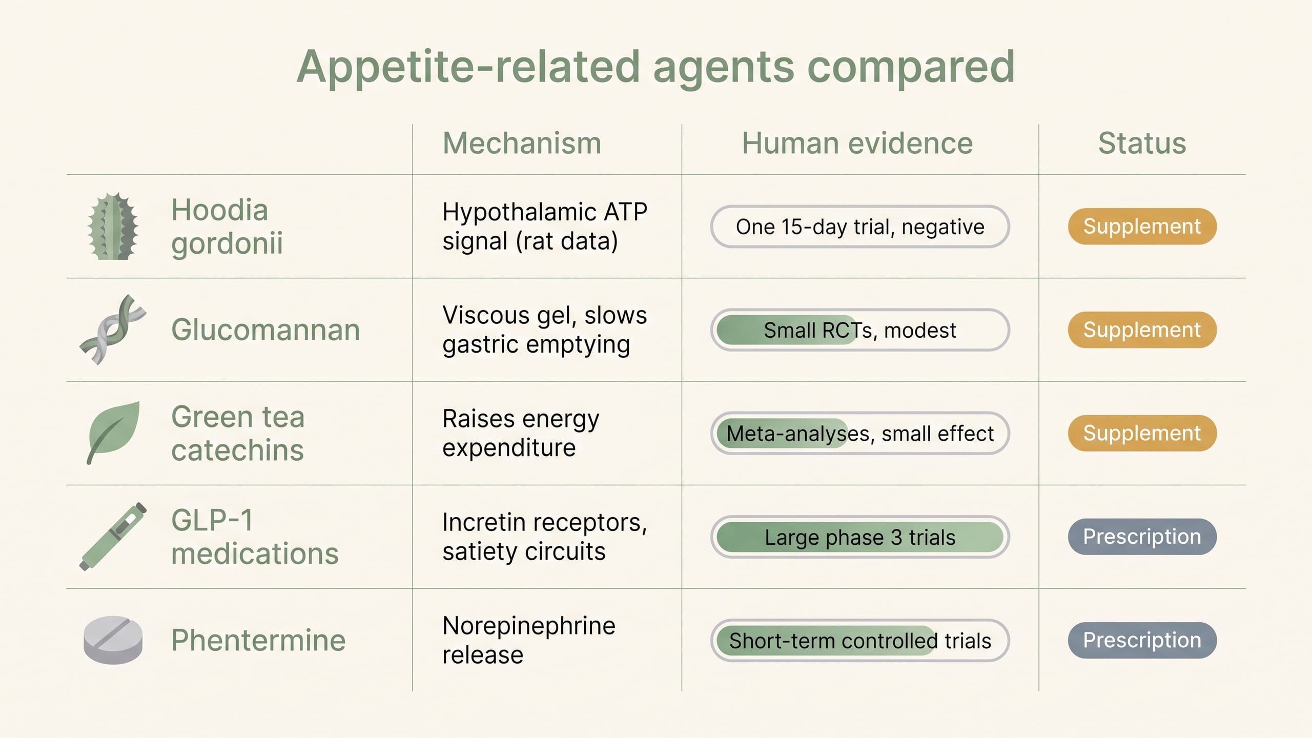 Comparison chart of hoodia versus glucomannan, green tea, GLP-1 medications, and phentermine by mechanism and evidence