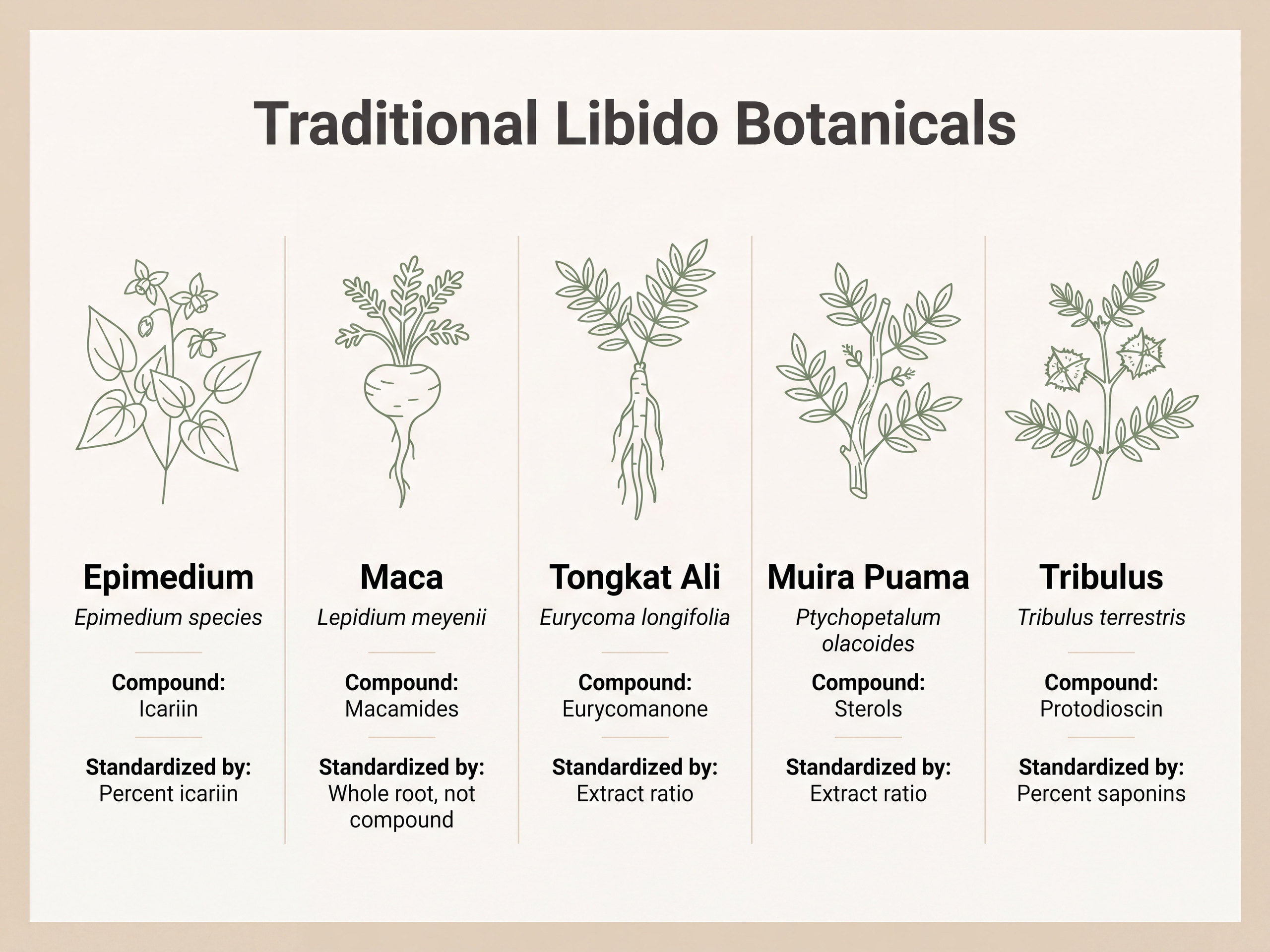 Infographic comparing Epimedium, maca, tongkat ali, muira puama and tribulus by compound and standardization