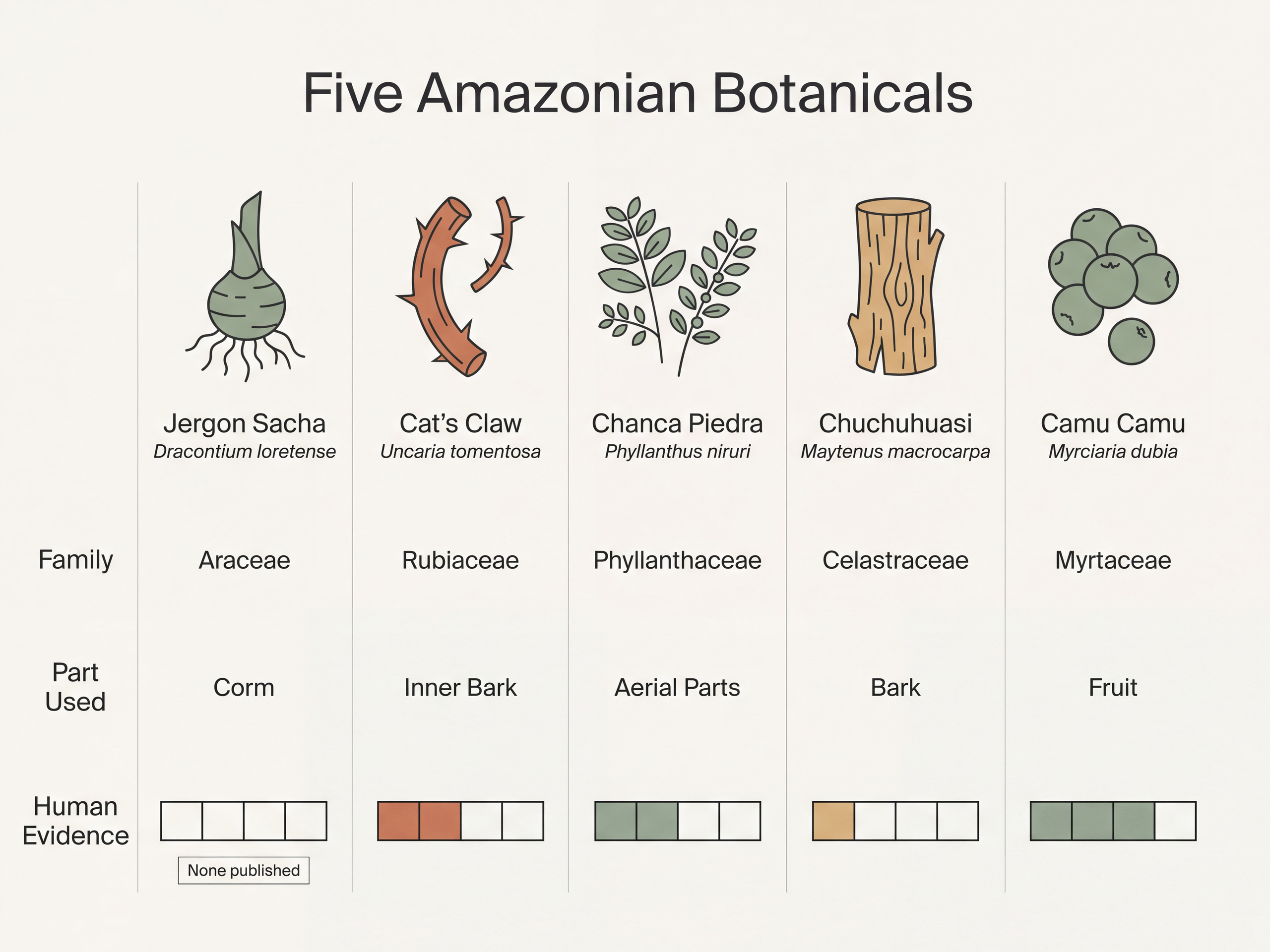 Comparison infographic of five Amazonian botanicals by family, plant part, and published human evidence