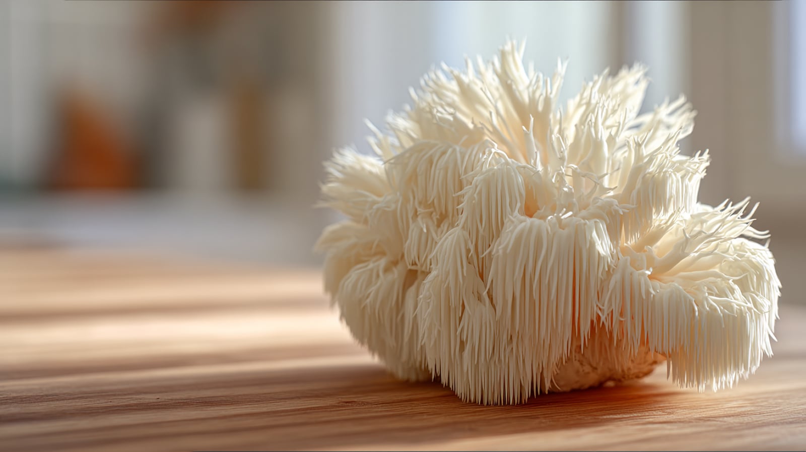 A fresh Lion's Mane mushroom with its unique white, cascading spines, a fungus that supports nerve health.