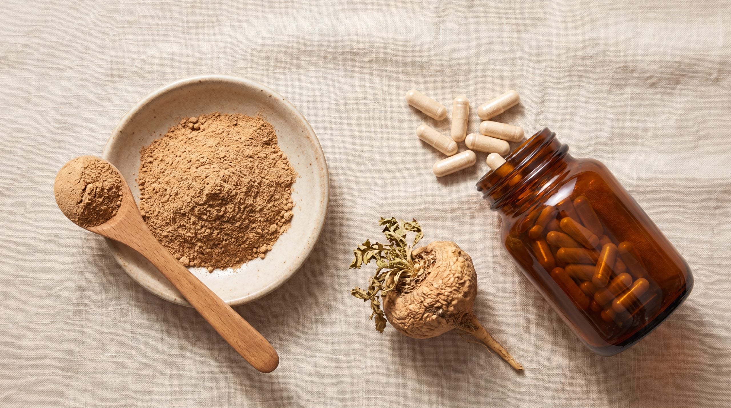 Gelatinized maca powder with a measuring spoon beside maca capsules and a whole dried maca root, comparing the two supplement forms
