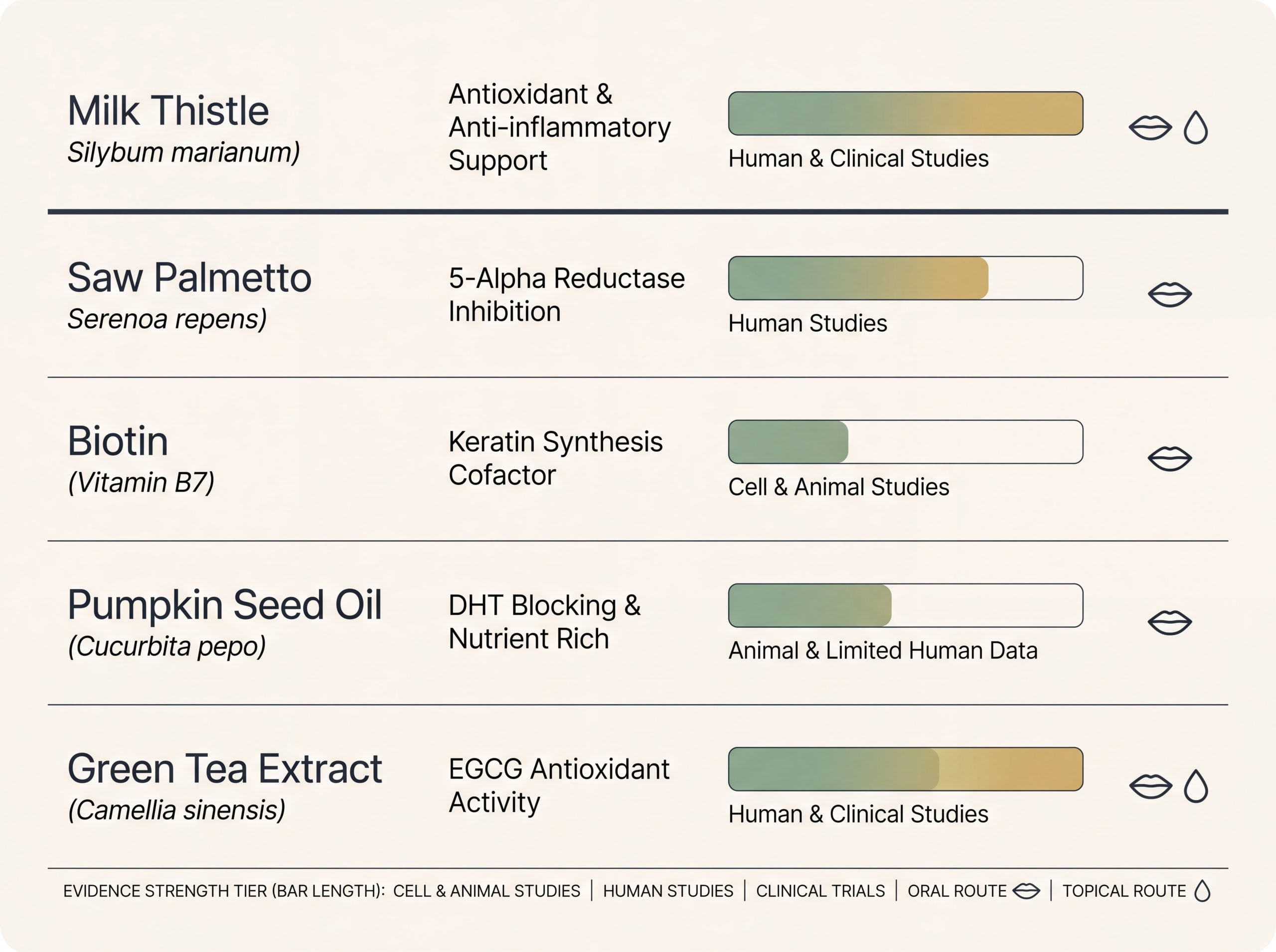 Chart comparing milk thistle, saw palmetto, biotin and antioxidants by hair evidence tier and route