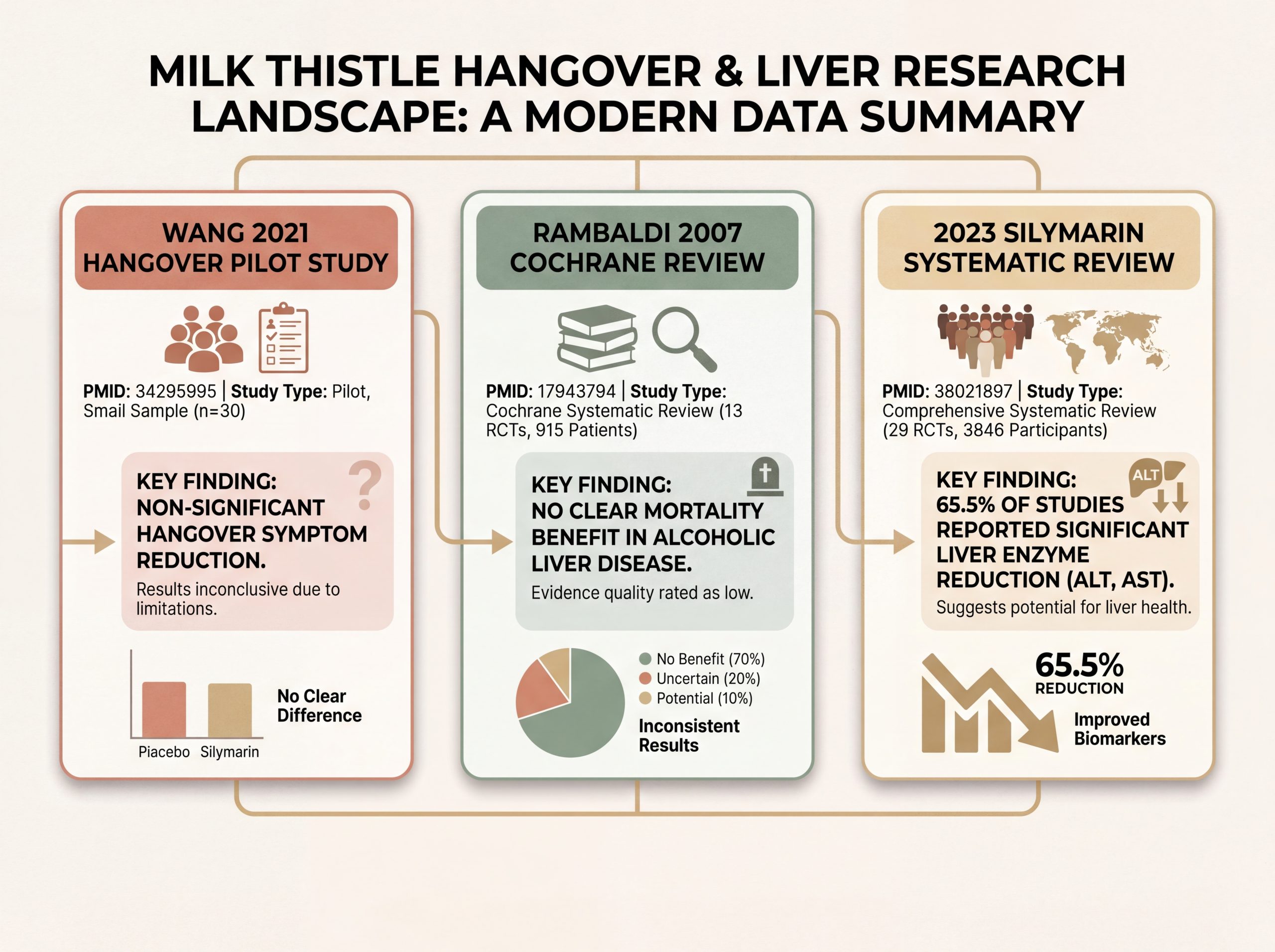 Research summary infographic of milk thistle hangover and liver health clinical trials including Wang 2021, Cochrane 2007, and 2023 systematic review