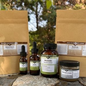 The full line of Mulondo (Mondia whitei) products from Back To Your Roots Herbs, including capsules, cream, powders, and oils, displayed together in a natural outdoor setting.