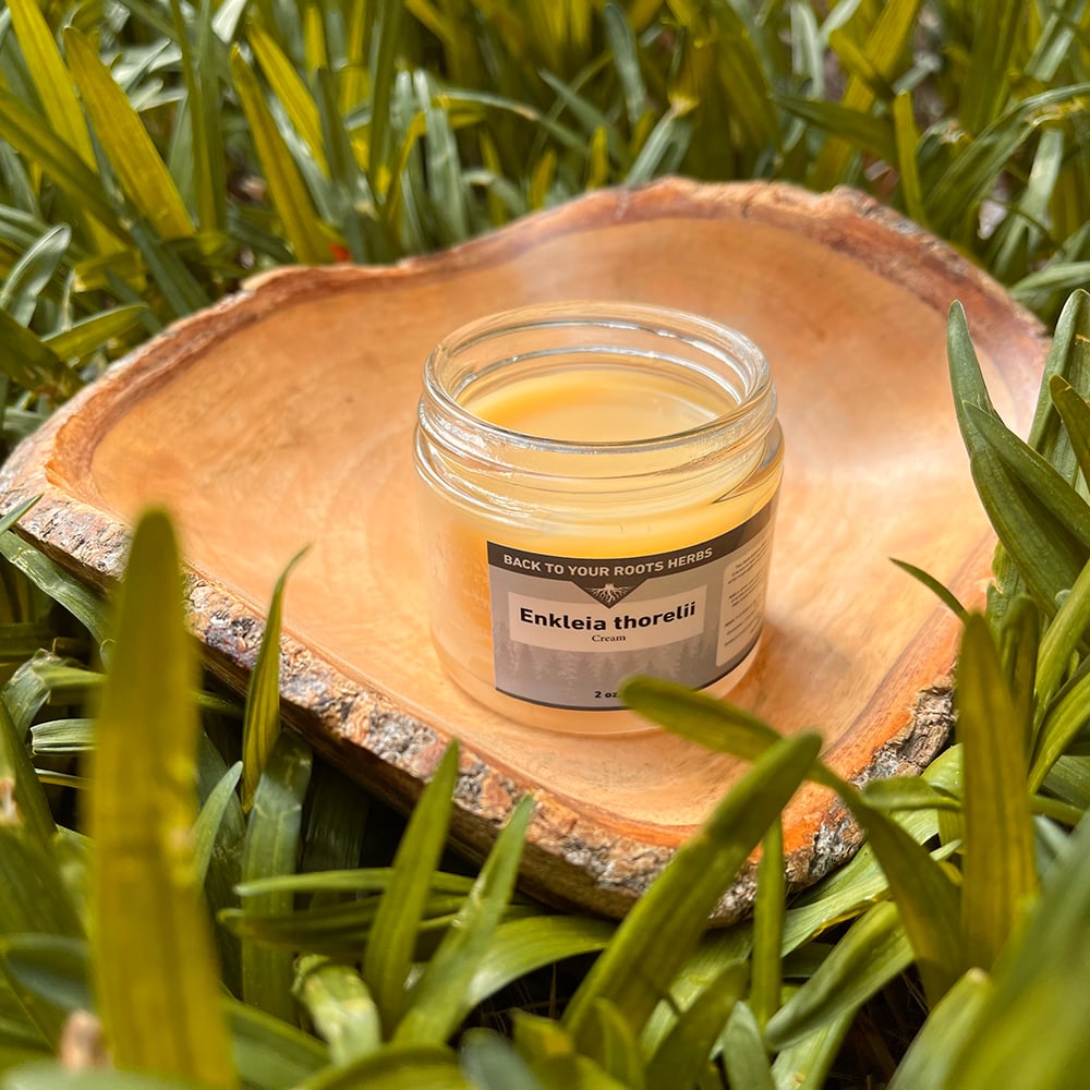 Enkleia Cream A jar of Back To Your Roots Herbs Enkleia thorelii cream resting in a wooden bowl, surrounded by lush green grass, highlighting its natural ingredients.