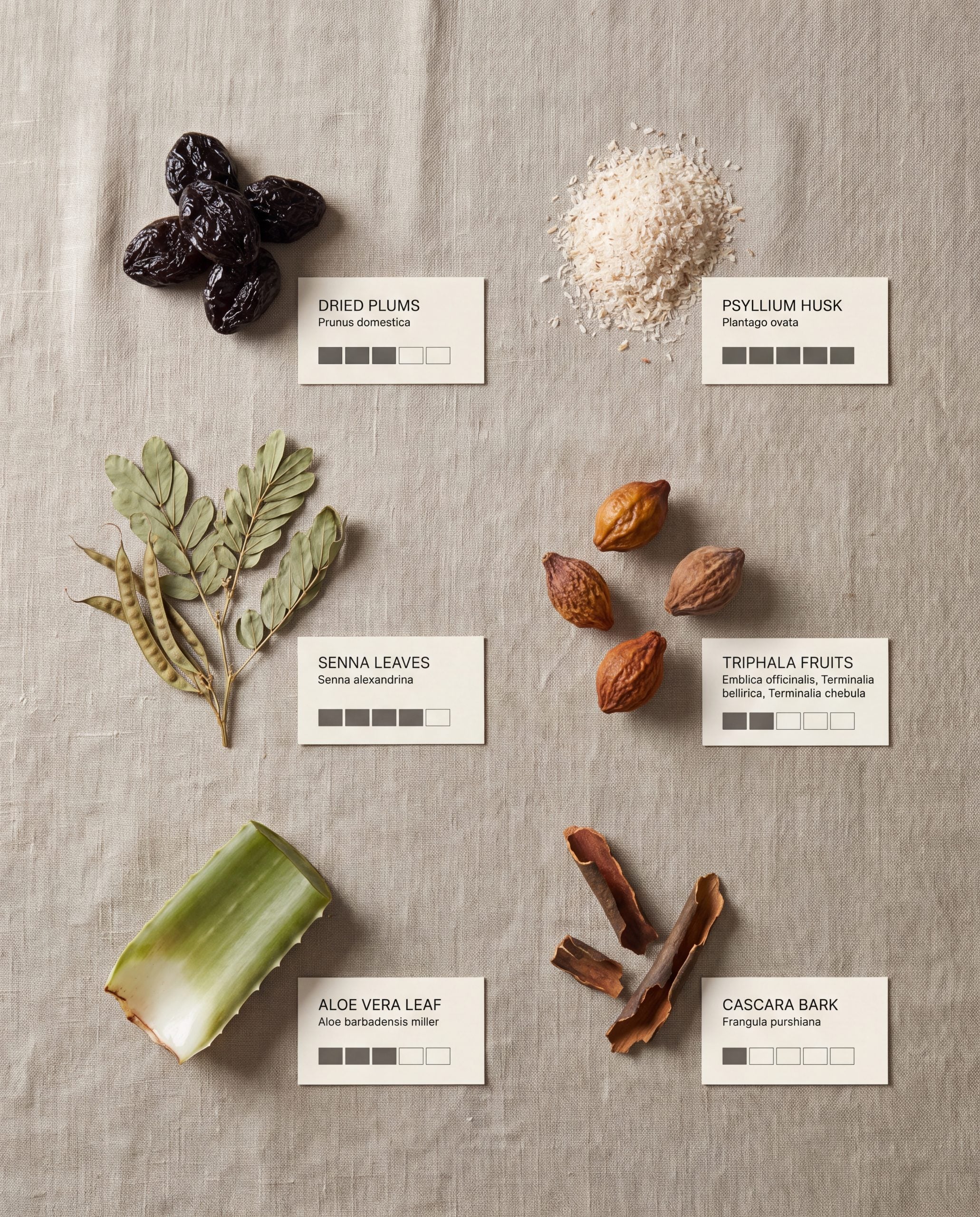 Six botanicals used for bowel regularity with Latin names and evidence-strength ratings, from dried plums to triphala