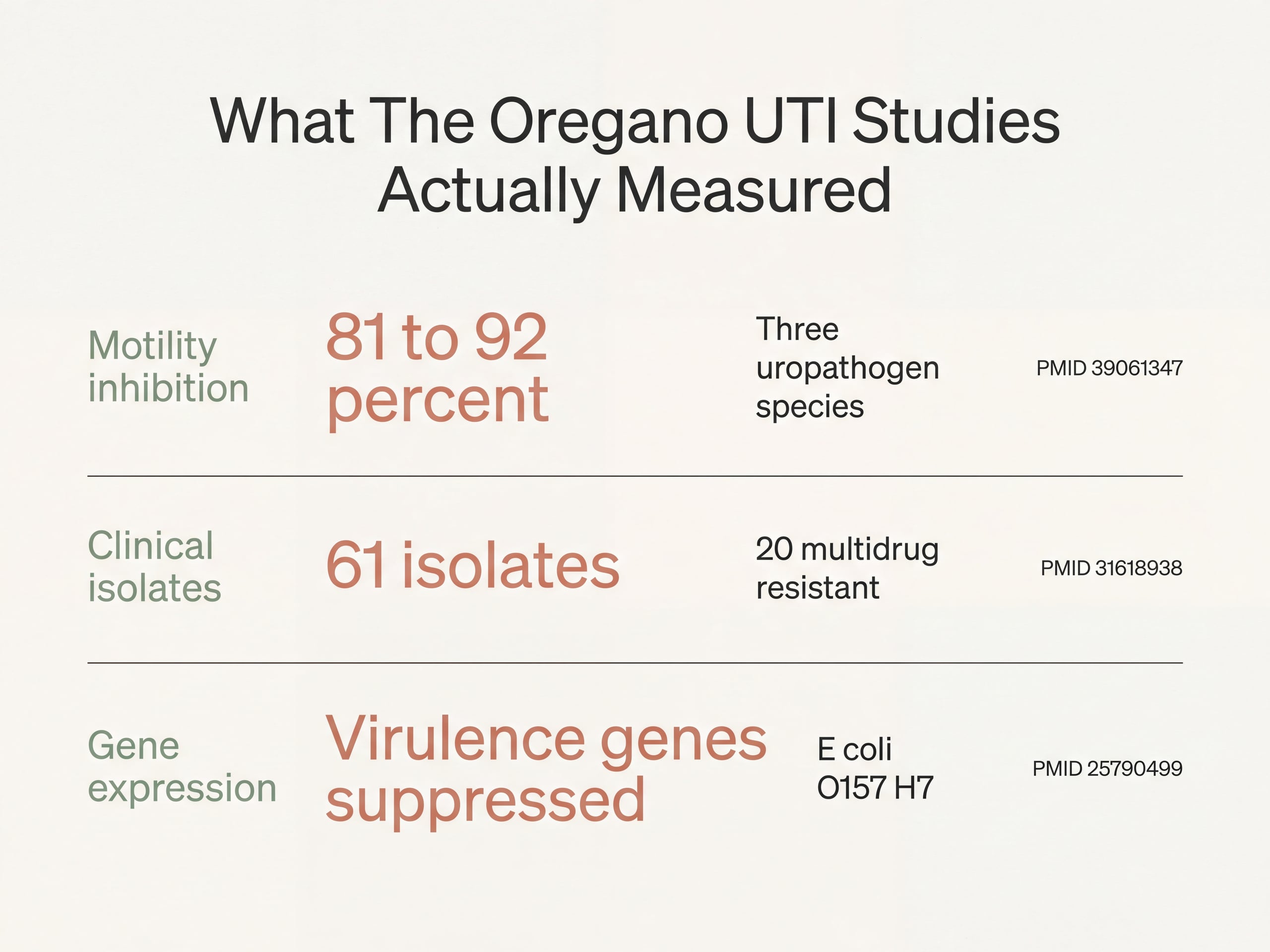 Research summary infographic showing motility reduction, clinical isolate counts and gene suppression from three oregano UTI studies