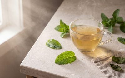 Beat Bloating Naturally: A Comprehensive Guide to Peppermint Tea for Digestive Wellness