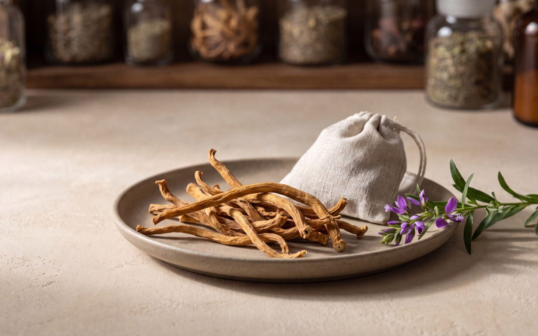 Health Benefits and Uses of Polygala Tenuifolia