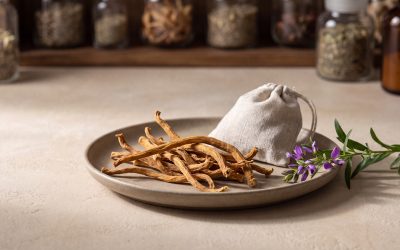 Health Benefits and Uses of Polygala Tenuifolia