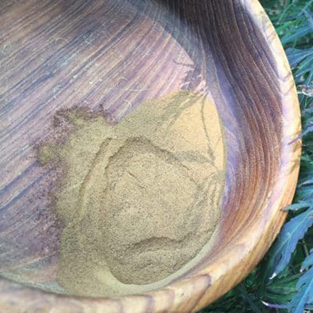 He Shou Wu Extract Powder A dark wooden bowl containing finely milled, prepared He Shou Wu (Fo-ti) root powder.