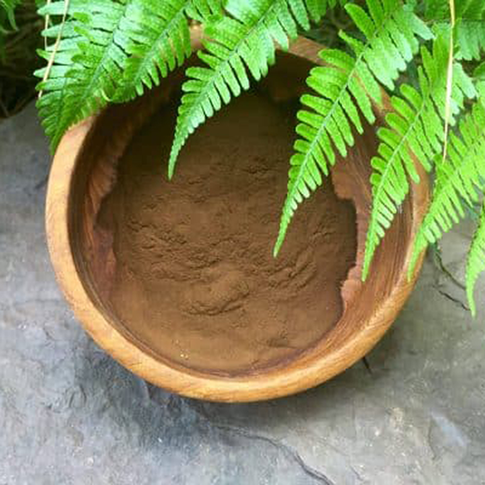 Shilajit Powder A wooden bowl filled with fine, brown shilajit powder, resting on a natural stone surface with green fern leaves in the background.