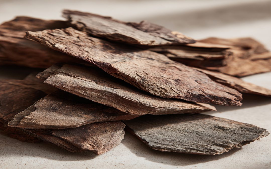 A Scientific Review of Pygeum for Hair Health