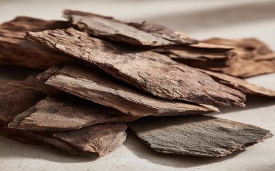 Learn A Scientific Review of Pygeum for Hair Health