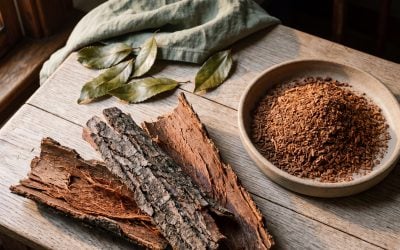 Learn A Scientific Review of Pygeum for Hair Health
