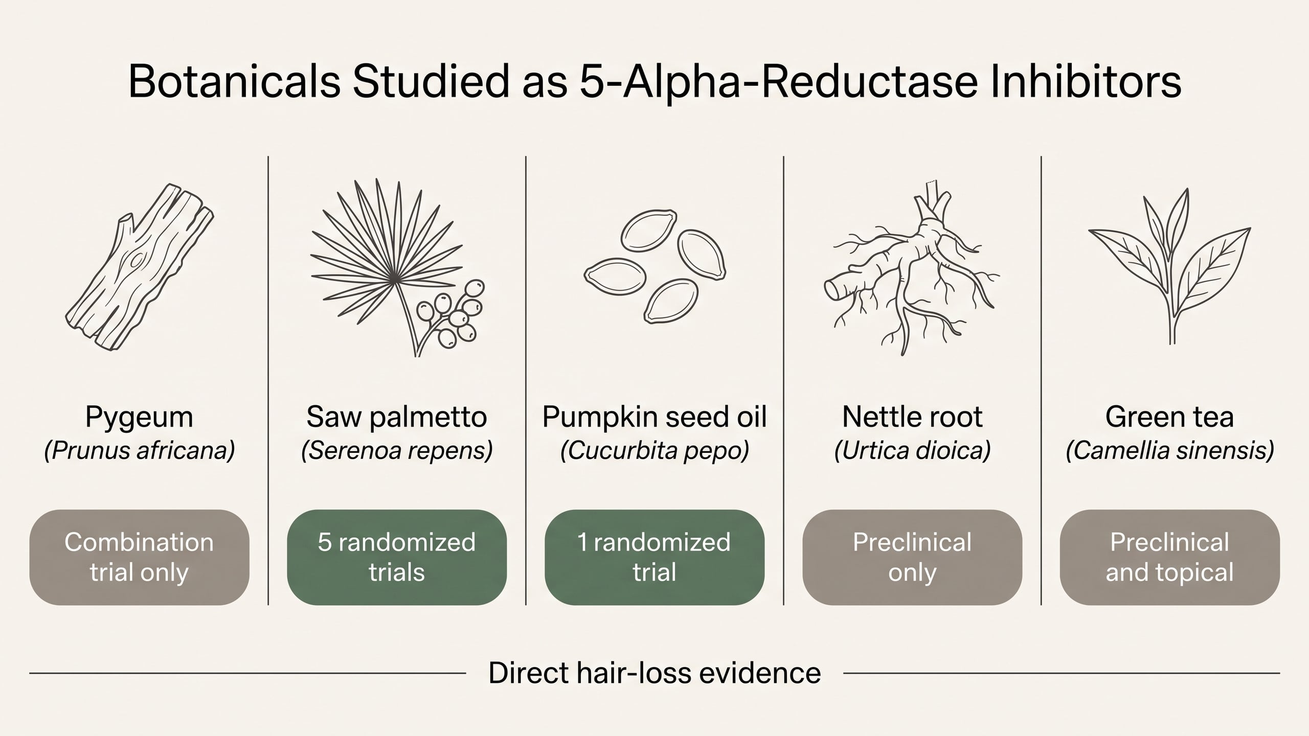 Comparison graphic of five botanical DHT blockers with color-coded chips showing the strength of direct hair-loss evidence