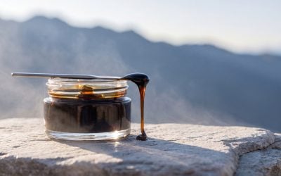 Learn The Science of Shilajit for a Natural Glow