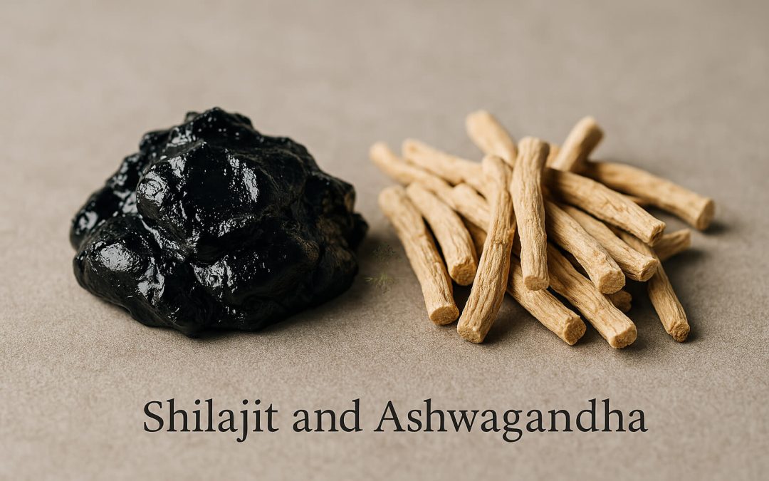 Understanding Shilajit and Ashwagandha: Benefits, Differences, and Potential Synergy