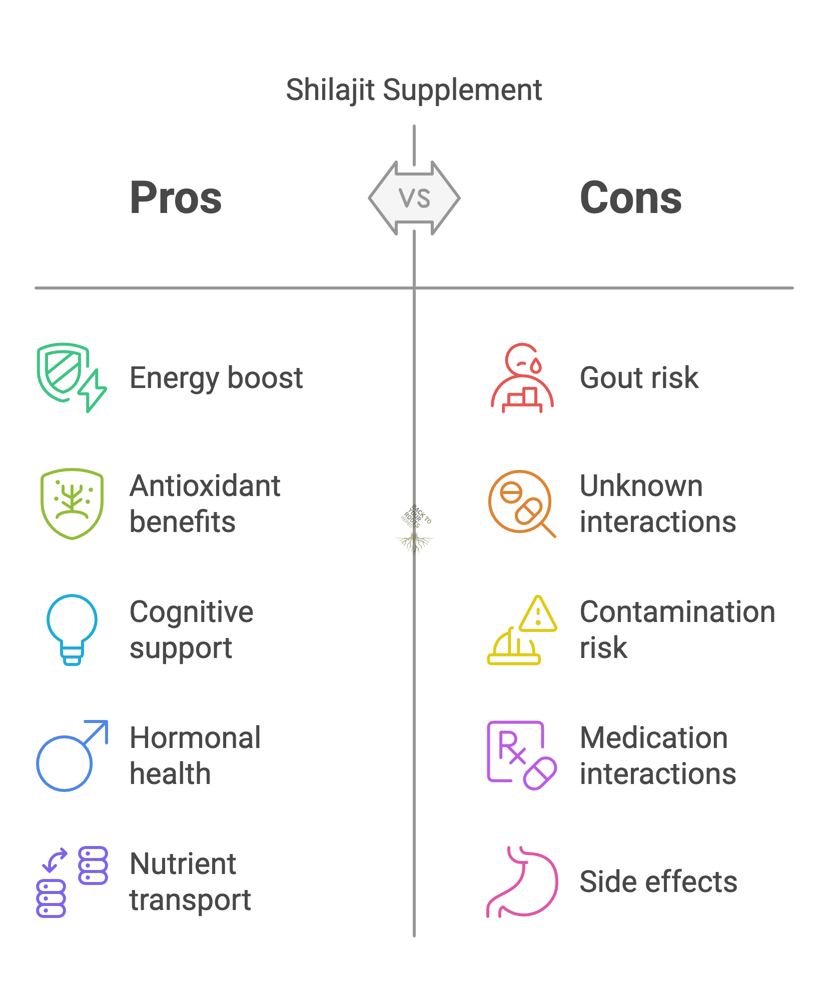 Shilajit supplement pros and cons infographic weighing gout risk and uric acid concerns against reported benefits.