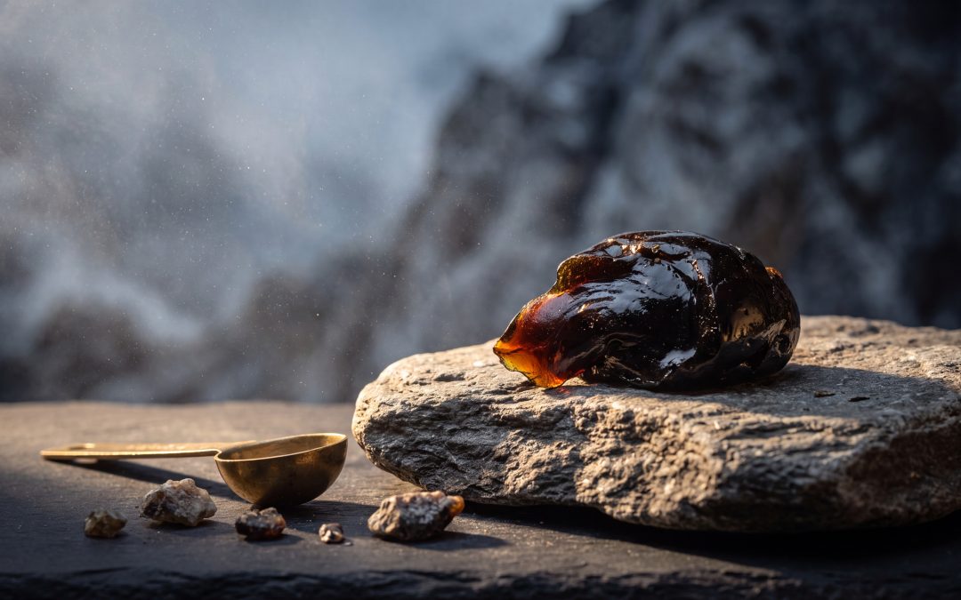 The Relationship Between Shilajit and Uric Acid: A Comprehensive Guide
