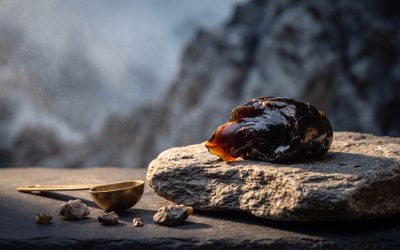 Learn The Relationship Between Shilajit and Uric Acid: A Comprehensive Guide