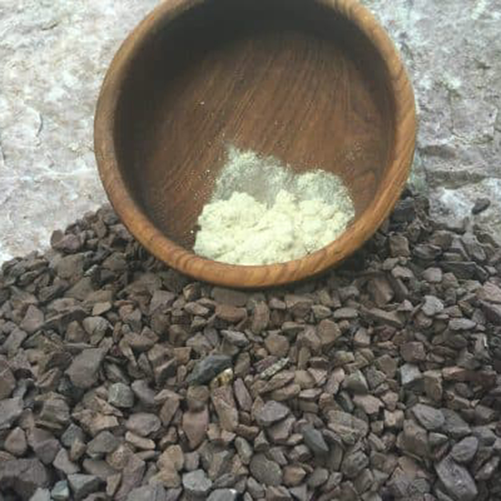 Synaptolepis kirkii Powder The fine, light-colored powder of Synaptolepis kirkii shown with the raw, dried Uvuma-omhlope root it is ground from.