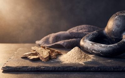 Tongkat Ali for Fitness and Performance: What the Trials Actually Show