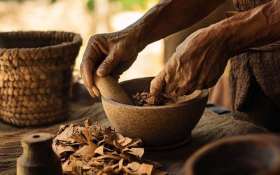 Pao Pereira: Traditional Uses and Scientific Evidence for its Health Benefits