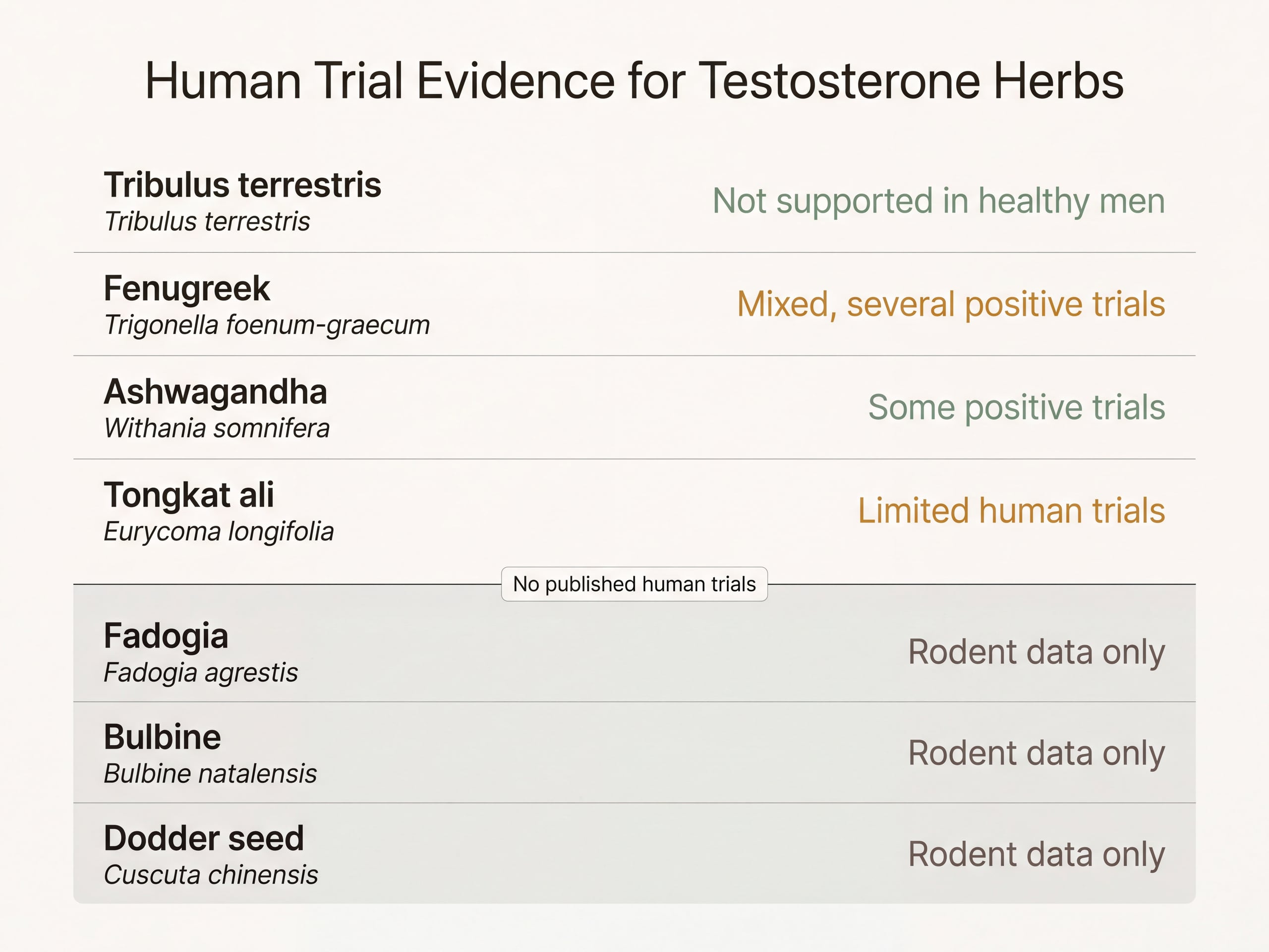 Evidence comparison of seven testosterone herbs from Tribulus terrestris to Cuscuta chinensis