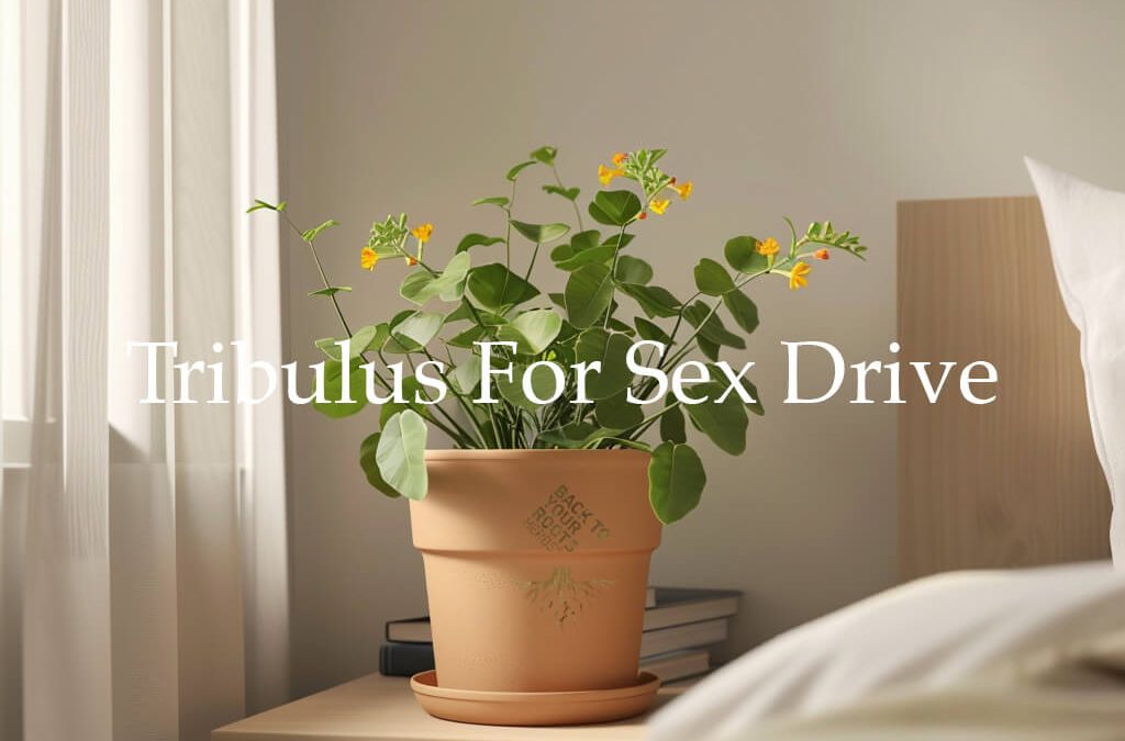 Tribulus Terrestris and Sex Drive: An Evidence-Based Review