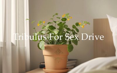 Tribulus Terrestris and Sex Drive: An Evidence-Based Review