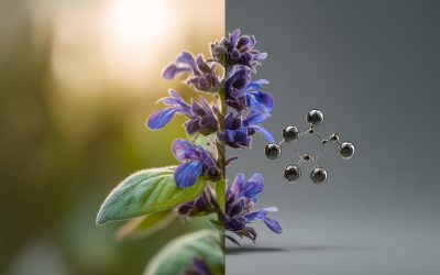 Learn A Scientific Look at Turkesterone’s Classification